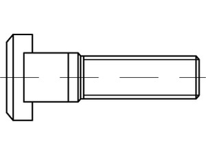 DIN 787 T-Nutenschrauben