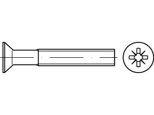 ISO 7046-1 4.8 Z galvanisch verzinkt Senkschrauben mit Pozidriv-Kreuzschlitz Z
