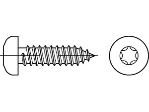 ISO 14585 A 2 Form C - ISR Flachkopf-Blechschrauben mit Spitze, mit Innensechsrund