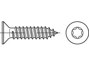 ISO 14586 A 2 Form C- ISR Senk-Blechschrauben, mit Spitze, mit Innensechsrund