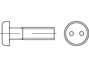 Artikel 88111 Diebstahlhemmende metrische Schrauben mit Zweiloch, Flako