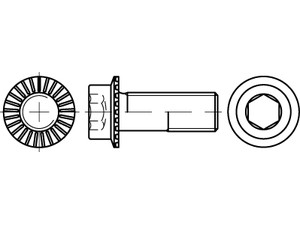 Artikel 88912 RIPP-Schrauben mit Innensechskant