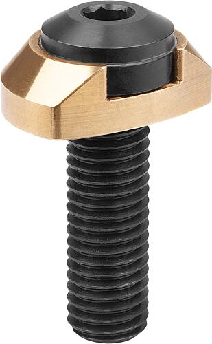 Spannschraube mit Spannring für Aufspannbolzen ...