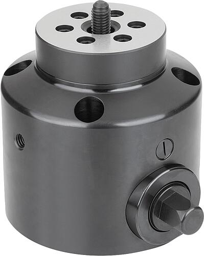 Zugspanner mit integrierter Spannschraube auto...