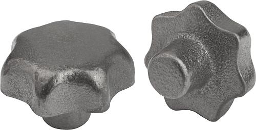 Sterngriffe DIN 6336 aus Grauguss, Form A, Rohling