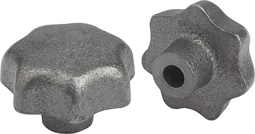 Sterngriffe DIN 6336 aus Grauguss, Form C, Sack...