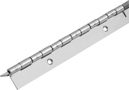 Federstangenscharniere Edelstahl, Form A