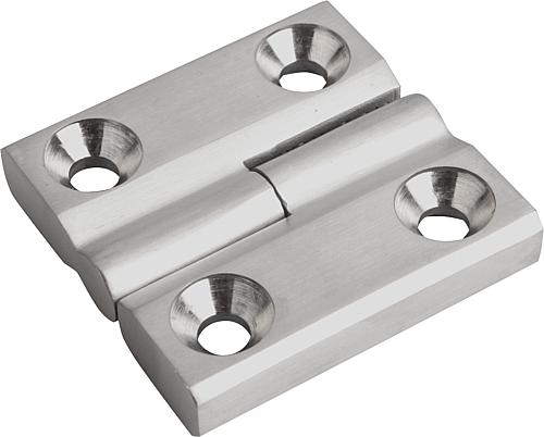 Scharniere aushängbar aus Edelstahl