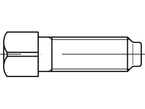 DIN 479 8.8 M 8 x 30 VE=S