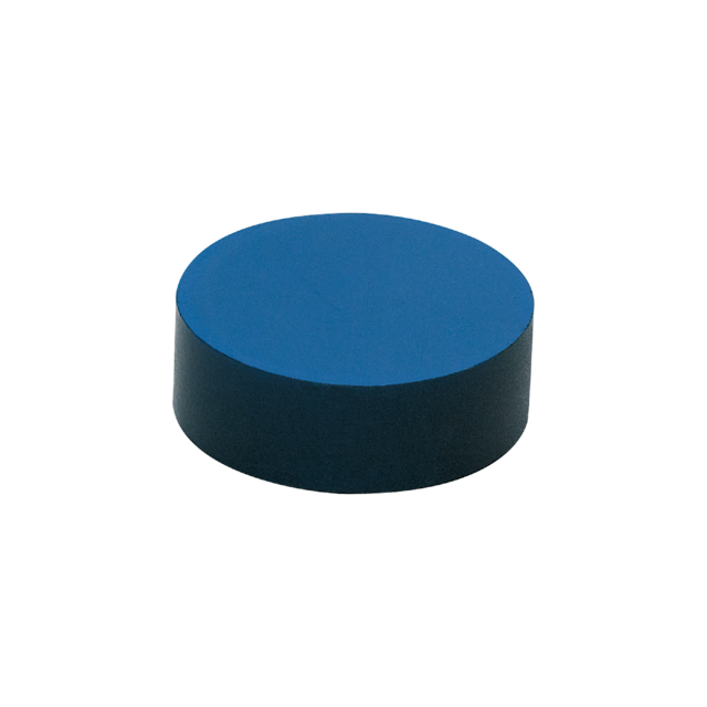 E10752: Bedämpfungsmagnet; Ø 30 / L = 10 mm