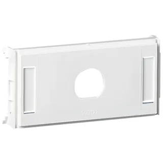Schneider Electric 5971705 – Thorsman - CYB-DC - Montageplatte - 1xBNC, TNC,EAE mit Besc…