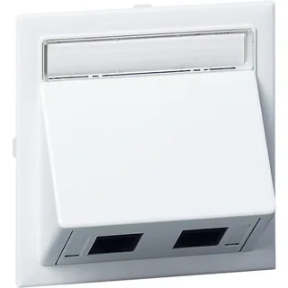 Schneider Electric 5974105 – Anschlußsatz schräg 2XActassi 250 cat6 STP weiß RAL9016 Typ…