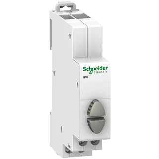 Schneider Electric A9E18035 – Doppel-Drucktaster iPB, 2 Schließer, Taste grau/grau