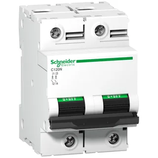 Leitungsschutzschalter C120N, 2P, 125A, B Charakteristik, 10kA
