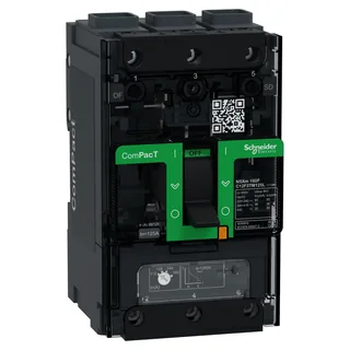 Kompaktleistungsschalter ComPacT NSXm 125 A mit TM125D 3P 36kA/415V EverLink