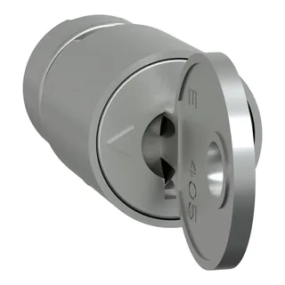 Schneider Electric LVS07940 – PrismaSeT-P, Zylinderschloss, mit 1 Schlüssel Nr.405
