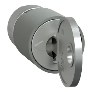 Schneider Electric LVS07944 – PrismaSeT-P, Zylinderschloss, mit 2 Schlüssel Nr.2433A
