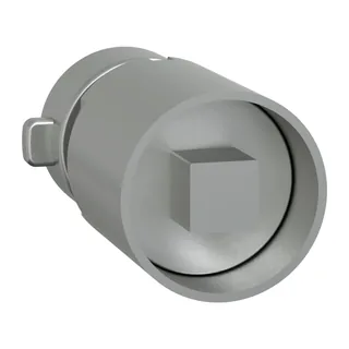 Schneider Electric LVS07951 – PrismaSeT-P, Zylinderschloss, mit Vierkanteinsatz 6mm
