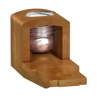 Schneider Electric SSRAL1 – Kabelschuh für Leitungsanschluss 13,3-53,5 mm² an Halbleite…