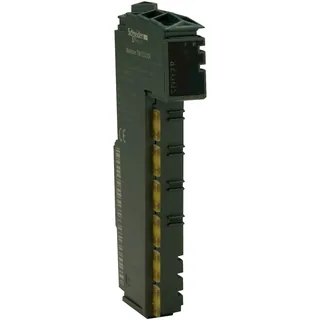 Schneider Electric TM5SDO2S – Digitales Ausgangsmodul, Modicon TM5, 2 Ausgänge, 100 bis 2…