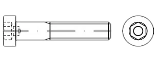 DIN 6912 08.8 M 10 x 30 VE=S