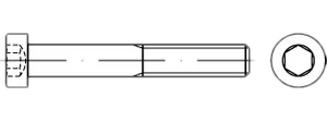 DIN 7984 08.8 M 8 x 20 VE=S